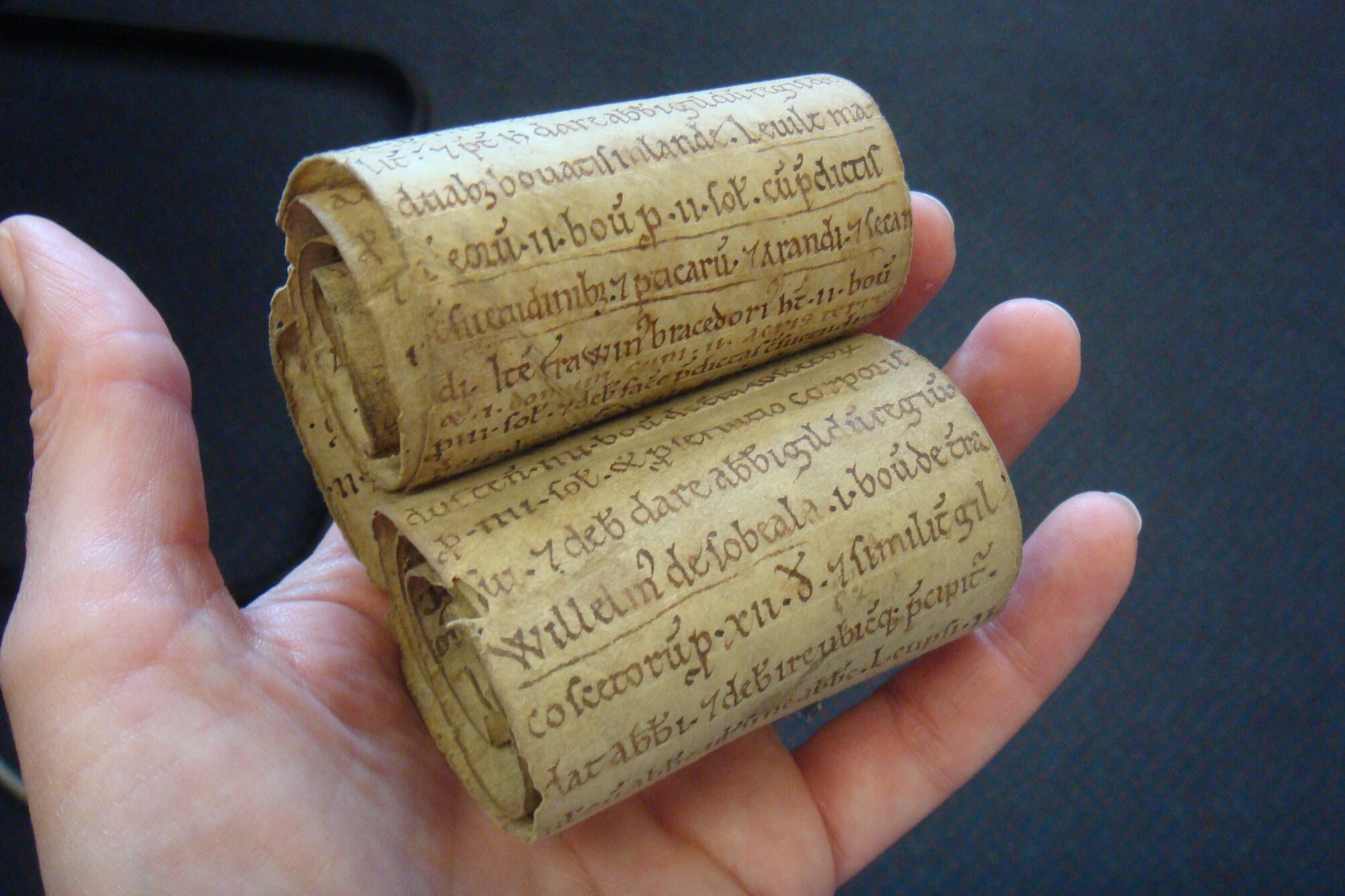 the future of the medieval past is in your hands