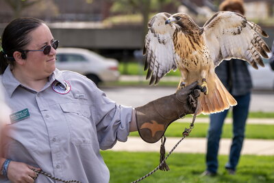 Falconer with bird